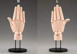 ARTIST SUPPORT ITEM Takahiro Kagami HAND MODEL/L PALE ORANGE 1/1 Action Figure