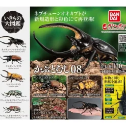 BANDAI Ikimono Encyclopedia Beetle 08 Complete Set Figure Capsule Toy Japan