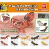 BANDAI Smooth knob-tailed & Leopard Gecko All 5 Types Set Figure Capsule Toy