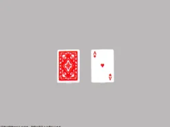 DIG Pripra Figure Games Playing Cards 1/12 Model Kit JAPAN OFFICIAL