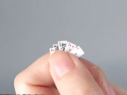 DIG Pripra Figure Games Playing Cards 1/12 Model Kit JAPAN OFFICIAL