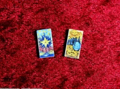 DIG Pripra Figure Games Tarot 1/12 Model Kit JAPAN OFFICIAL