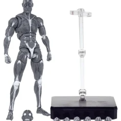 KEEPGOING Studio Human Muscle Model Gray 1/12 Action Figure JAPAN OFFICIAL