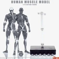 KEEPGOING Studio Human Muscle Model Gray 1/12 Action Figure JAPAN OFFICIAL