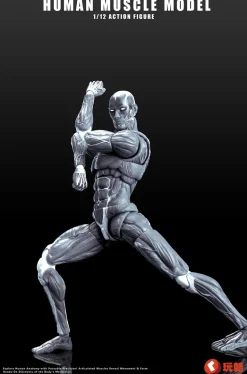 KEEPGOING Studio Human Muscle Model Gray 1/12 Action Figure JAPAN OFFICIAL