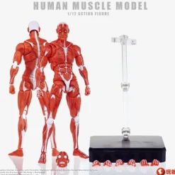 KEEPGOING Studio Human Muscle Model Red 1/12 Action Figure JAPAN OFFICIAL