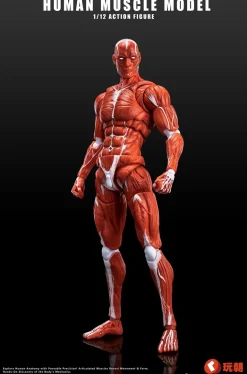 KEEPGOING Studio Human Muscle Model Red 1/12 Action Figure JAPAN OFFICIAL