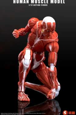 KEEPGOING Studio Human Muscle Model Red 1/12 Action Figure JAPAN OFFICIAL