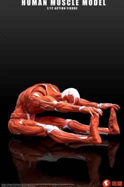 KEEPGOING Studio Human Muscle Model Red 1/12 Action Figure JAPAN OFFICIAL