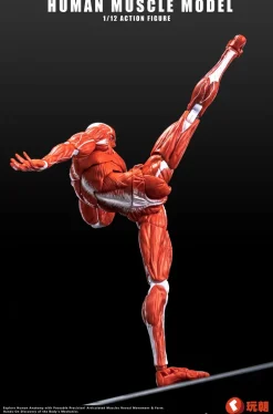 KEEPGOING Studio Human Muscle Model Red 1/12 Action Figure JAPAN OFFICIAL