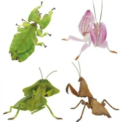 Primary Color Mimicry Insects Complete set 4 types Figure Capsule Toy JAPAN