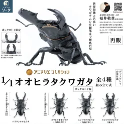 SO-TA Animalier Collection Dorcus Titanus 4Pack BOX 1/1 Figure JAPAN OFFICIAL