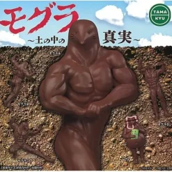 Tamakyu Mole The Truth in the Soil Set of 5 Figure Capsule Toy JAPAN OFFICIAL